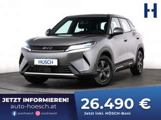 Atto 2 DM-i ACTIVE ACC ASSISTENZ KAMERA AKTION, 27990 €, Auto & Fahrrad-Autos in 2512 Katastralgemeinde Tribuswinkel