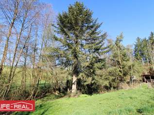 Großzügiges Grundstück mit Altbestand & Potential, 215000 €, Immobilien-Grund und Boden in 4111 Walding