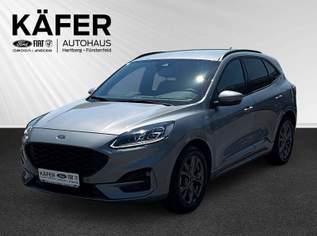 Kuga 1.5 EcoBoost ST-LINE X**13500KM**ERSTBESITZ**, 26990 €, Auto & Fahrrad-Autos in 8230 Hartberg Kuga 1.5 EcoBoost ST-LINE X**13500KM**ERSTBESITZ**, 26990 €, Auto & Fahrrad-Autos in 8230 Hartberg