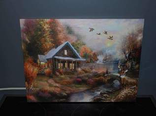 Wandbild Waldhütte beleuchtet, 39 €, Haus, Bau, Garten-Geschirr & Deko in 2232 Gemeinde Deutsch-Wagram
