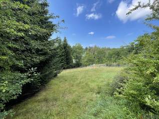 Super Fahnengrundstück mit SÜD-Ausrichtung, 349000 €, Immobilien-Grund und Boden in 3032 Eichgraben