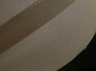 Wundrschöner Tutis Kombikinderwagen