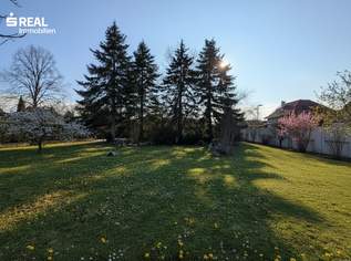 Qualitativ hochwertige Bauparzelle in bester Ruhelage, 229000 €, Immobilien-Grund und Boden in 7201 Neudörfl