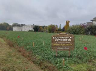 Bauen im Südburgenland: Flexible Grundstücksgrößen von klein bis XXL, 16250 €, Immobilien-Gewerbeobjekte in 7472 Schachendorf Bauen im Südburgenland: Flexible Grundstücksgrößen von klein bis XXL, 16250 €, Immobilien-Gewerbeobjekte in 7472 Schachendorf