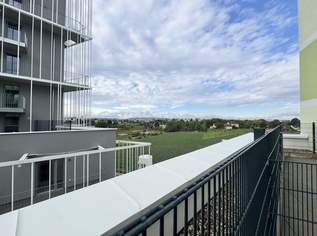 Erstbezug mit traumhafter Terrasse - zu Fuß zur Alten Donau und dem Donauzentrum, 899 €, Immobilien-Wohnungen in 1210 Floridsdorf