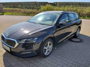 Octavia Ambition, 23990 €, Auto & Fahrrad-Autos in 5452 Pfarrwerfen