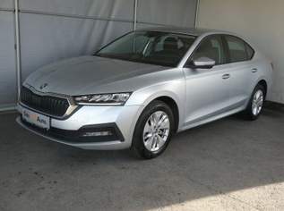 Octavia Ambition TDI, 22590 €, Auto & Fahrrad-Autos in 8430 Leibnitz