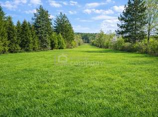 Grundstück Nr. 2 von 4 in Mannersdorf/Leithagebirge zu verkaufen - 471m², 135000 €, Immobilien-Grund und Boden in 2452 Gemeinde Mannersdorf am Leithagebirge