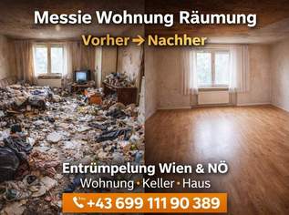 Wohnung Entrümpelung günstig Wien