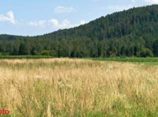 1,8 ha Bauland Potential in Jaunstein - Globasnitz, 450000 €, Immobilien-Grund und Boden in 9142 Globasnitz