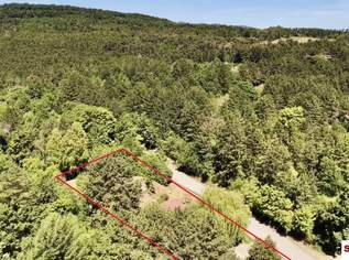 2.061 m2 Traumgrund neben dem Wald, 590000 €, Immobilien-Grund und Boden in 2551 Enzesfeld