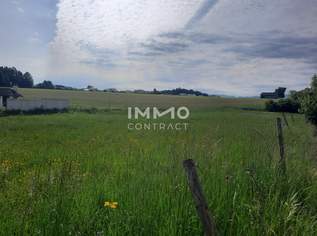 ++TOP Grundstück in Bad Hall++, 324000 €, Immobilien-Grund und Boden in 4540 Bad Hall ++TOP Grundstück in Bad Hall++, 324000 €, Immobilien-Grund und Boden in 4540 Bad Hall