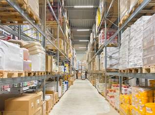 Neuwertige Lagerhalle mit Krannasen und Bürofläche zu vermieten!, 15328.2 €, Immobilien-Gewerbeobjekte in 4061 Pasching Neuwertige Lagerhalle mit Krannasen und Bürofläche zu vermieten!, 15328.2 €, Immobilien-Gewerbeobjekte in 4061 Pasching