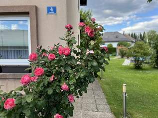Erdgeschoss mit viel Platz zu mieten - mitunter perfekt für Ihre Mitarbeiter geeignet!, 987.86 €, Immobilien-Wohnungen in 3380 Ornding Erdgeschoss mit viel Platz zu mieten - mitunter perfekt für Ihre Mitarbeiter geeignet!, 987.86 €, Immobilien-Wohnungen in 3380 Ornding