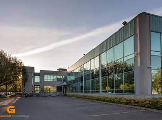 Neu: Attraktive Büro & Gewerbefläche mit Wunschplanung in Salzburg, 0 €, Immobilien-Gewerbeobjekte in 5020 Salzburg