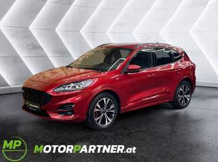 Kuga 1,5 EcoBlue **ST-Line**, 21880 €, Auto & Fahrrad-Autos in 8350 Fehring Kuga 1,5 EcoBlue **ST-Line**, 21880 €, Auto & Fahrrad-Autos in 8350 Fehring