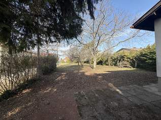 Attraktives Baugrundstück in Pottendorf, 570000 €, Immobilien-Grund und Boden in 2486 Katastralgemeinde Pottendorf