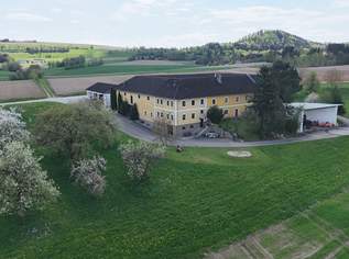 TOP GELEGENHEIT - Mühlviertler Vierkanthof mit Potenzial zur Pferdehaltung und zu insgesamt 4 Wohneinheiten und 38.343 m² Grund, 870000 €, Immobilien-Häuser in 4224 Wartberg ob der Aist