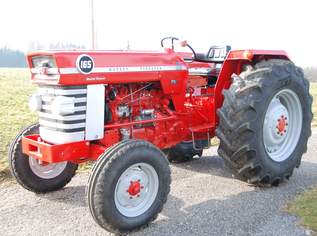 Verkaufe Ferguson 165 Multipower, 10000 €, Auto & Fahrrad-Traktoren & Nutzfahrzeuge in 5165 Berndorf bei Salzburg