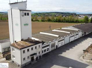 Großzügige Industriehalle in St. Valentin - 1311 m² zur Miete für Ihre Geschäftsideen, inkl. Büroräume auf 2 Etagen, 6.5 €, Immobilien-Gewerbeobjekte in 4300 Gemeinde Sankt Valentin Großzügige Industriehalle in St. Valentin - 1311 m² zur Miete für Ihre Geschäftsideen, inkl. Büroräume auf 2 Etagen, 6.5 €, Immobilien-Gewerbeobjekte in 4300 Gemeinde Sankt Valentin