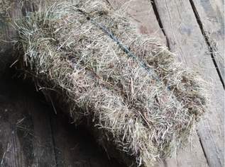 Heu in kleinen Ballen , 2.5 €, Marktplatz-Tiere & Tierbedarf in 3920 Gemeinde Groß Gerungs