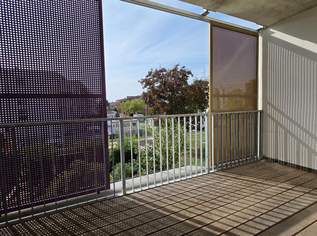 PROVISIONSFREI! ANTON-BENYA-STRASSE!, 1295.02 €, Immobilien-Wohnungen in Niederösterreich