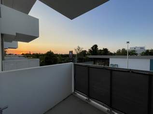 Ziegelhofstraße: Neuwertige Single-Wohnung mit Balkon beim Hirschstettner Badeteich!, 659.48 €, Immobilien-Wohnungen in 1220 Donaustadt Ziegelhofstraße: Neuwertige Single-Wohnung mit Balkon beim Hirschstettner Badeteich!, 659.48 €, Immobilien-Wohnungen in 1220 Donaustadt