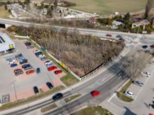 Betriebsbaugrundstück 2196m² in Ebenfurth, 399000 €, Immobilien-Gewerbeobjekte in 2490 Ebenfurth