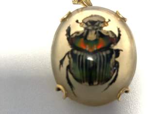 Wunderschöner Käfer in Gold gefasst mit Goldkette Einzelstück Wunderschöner Käfer in Gold gefasst mit Goldkette Einzelstück