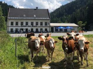 Gasthof in touristischer Top-Lage im Mariazellerland, 299000 €, Immobilien-Gewerbeobjekte in 8630 Mariazell