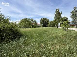 Wohnen nahe dem Neusiedler See - ruhige Lage - zentrumsnah, 228400 €, Immobilien-Grund und Boden in 7100 Gemeinde Neusiedl am See