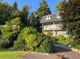 Solide Kapitalanlage in Perg – Gewerbeeinheiten, Garagen & Wohnen kombiniert, 0 €, Immobilien-Gewerbeobjekte in 4320 Perg