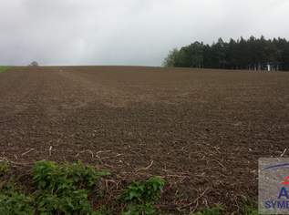 Die Gelegenheit, Ackerfläche Raum Pischelsdorf /Burgkirchen, 0 €, Immobilien-Grund und Boden in 5145 Bachleiten Die Gelegenheit, Ackerfläche Raum Pischelsdorf /Burgkirchen, 0 €, Immobilien-Grund und Boden in 5145 Bachleiten