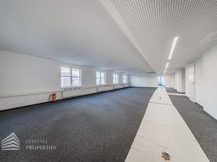 Erstbezug! Elegantes 5-Zimmer Büro in Toplage, 6615.8 €, Immobilien-Gewerbeobjekte in 1010 Innere Stadt Erstbezug! Elegantes 5-Zimmer Büro in Toplage, 6615.8 €, Immobilien-Gewerbeobjekte in 1010 Innere Stadt