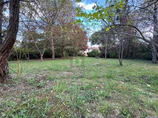 SELTENES JUWEL - AUßERGEWÖHNLICHES ANWESEN MIT PARKÄHNLICHEM GARTEN, HALLENBAD UND VIEL PRIVATSPHÄRE, 0 €, Immobilien-Häuser in 1210 Floridsdorf SELTENES JUWEL - AUßERGEWÖHNLICHES ANWESEN MIT PARKÄHNLICHEM GARTEN, HALLENBAD UND VIEL PRIVATSPHÄRE, 0 €, Immobilien-Häuser in 1210 Floridsdorf