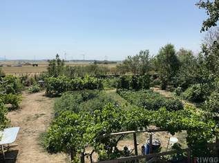 Familienparadies mit Selbstversorger-Garten | 170 m² Wohnfläche auf 1.100 m² Grund, 390000 €, Immobilien-Häuser in 2242 Prottes Familienparadies mit Selbstversorger-Garten | 170 m² Wohnfläche auf 1.100 m² Grund, 390000 €, Immobilien-Häuser in 2242 Prottes