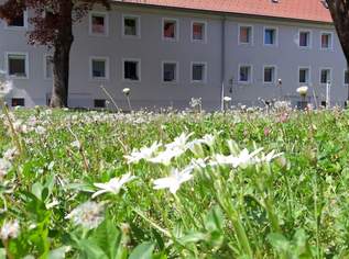 Ruhige Wohnidylle mit Ausblick – lichtdurchflutete 3-Zimmer-Wohnung mit Loggia im obersten Stockwerk und idealer Lage im Herzen von Münichholz!, 556.68 €, Immobilien-Wohnungen in 4400 Steyr Ruhige Wohnidylle mit Ausblick – lichtdurchflutete 3-Zimmer-Wohnung mit Loggia im obersten Stockwerk und idealer Lage im Herzen von Münichholz!, 556.68 €, Immobilien-Wohnungen in 4400 Steyr