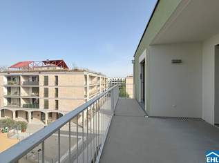 Modern Wohnen im Grünen: Ihr neues Zuhause im Herzen des Tullnerfelds, 1530 €, Immobilien-Wohnungen in 3441 Pixendorf