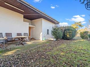 Zwei große Einfamilienhäuser oder vier Doppelhaushälfte möglich, 0 €, Immobilien-Häuser in 1220 Donaustadt