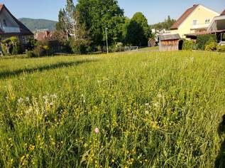 RARITÄT IN WEIZ: Stadtbaugrund