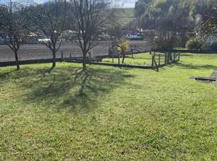 Großes Grundstück mit Bestandshaus!, 0 €, Immobilien-Grund und Boden in 4616 Weißkirchen an der Traun