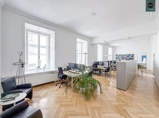 Wunderschönes Büro in einem historischen Palais im Herzen der Wiener Innenstadt!, 3129 €, Immobilien-Gewerbeobjekte in 1010 Innere Stadt