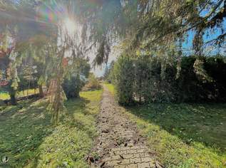 Traumhaftes großes Baugrundstück in Zwentendorf !, 0 €, Immobilien-Grund und Boden in 3435 Gemeinde Zwentendorf an der Donau