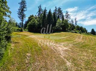 Sonniges Baugrundstück in Moosburg - Ruhige Lage am Waldrand (Nr.2), 109000 €, Immobilien-Grund und Boden in 9062 Moosburg Sonniges Baugrundstück in Moosburg - Ruhige Lage am Waldrand (Nr.2), 109000 €, Immobilien-Grund und Boden in 9062 Moosburg