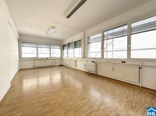 Laurenzi am Fluss, 999000 €, Immobilien-Gewerbeobjekte in 1010 Innere Stadt