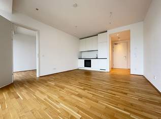 DANUBE VIEW - Zeitgemäßes Wohnen mit Blick auf die Neue Donau, 1299 €, Immobilien-Wohnungen in 1220 Donaustadt