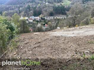 Grundstück in Hanglage in Kaltenleutgeben, 450000 €, Immobilien-Grund und Boden in 2391 Gemeinde Kaltenleutgeben