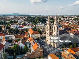 172 m2 Gartenfläche ! Neu ! Traumhafte Gartenwohnung in Grünruhelage ! Provisionsfrei !, 444600 €, Immobilien-Wohnungen in Niederösterreich