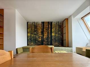 Möblierte 2 Zimmer DG-Wohnung Nähe U4 Ober St. Veit, 890 €, Immobilien-Wohnungen in 1130 Hietzing