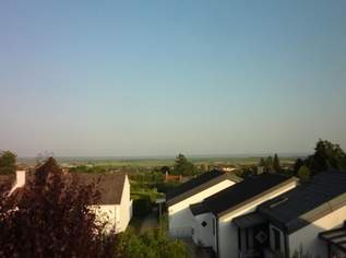 Sanierungsbedürftiges Reihenhaus mit Seeblick!, 220000 €, Immobilien-Häuser in 7091 Gemeinde Breitenbrunn